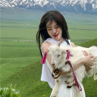 意乱情迷粤语